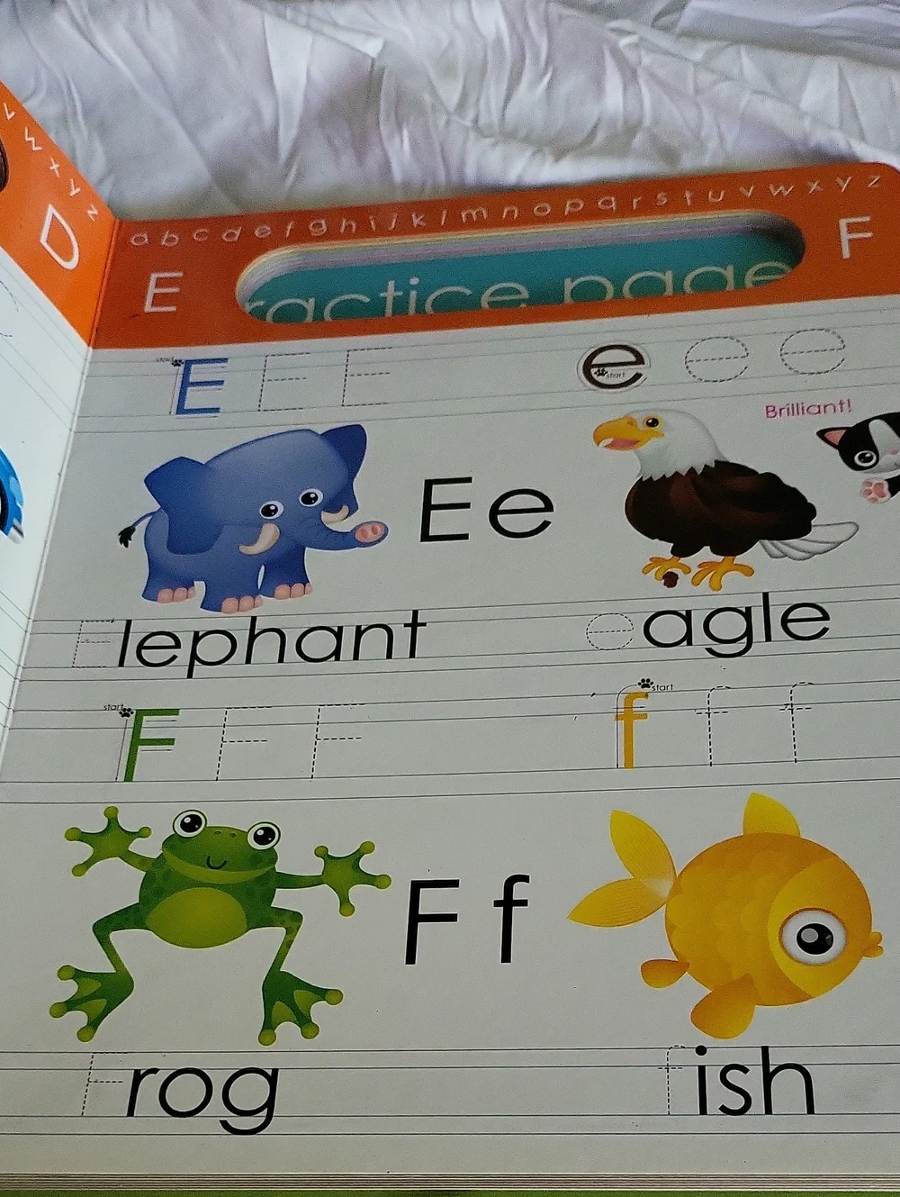 Alphabet Little Learning Library - Write & Wipe Activity Kids Books - Childrens